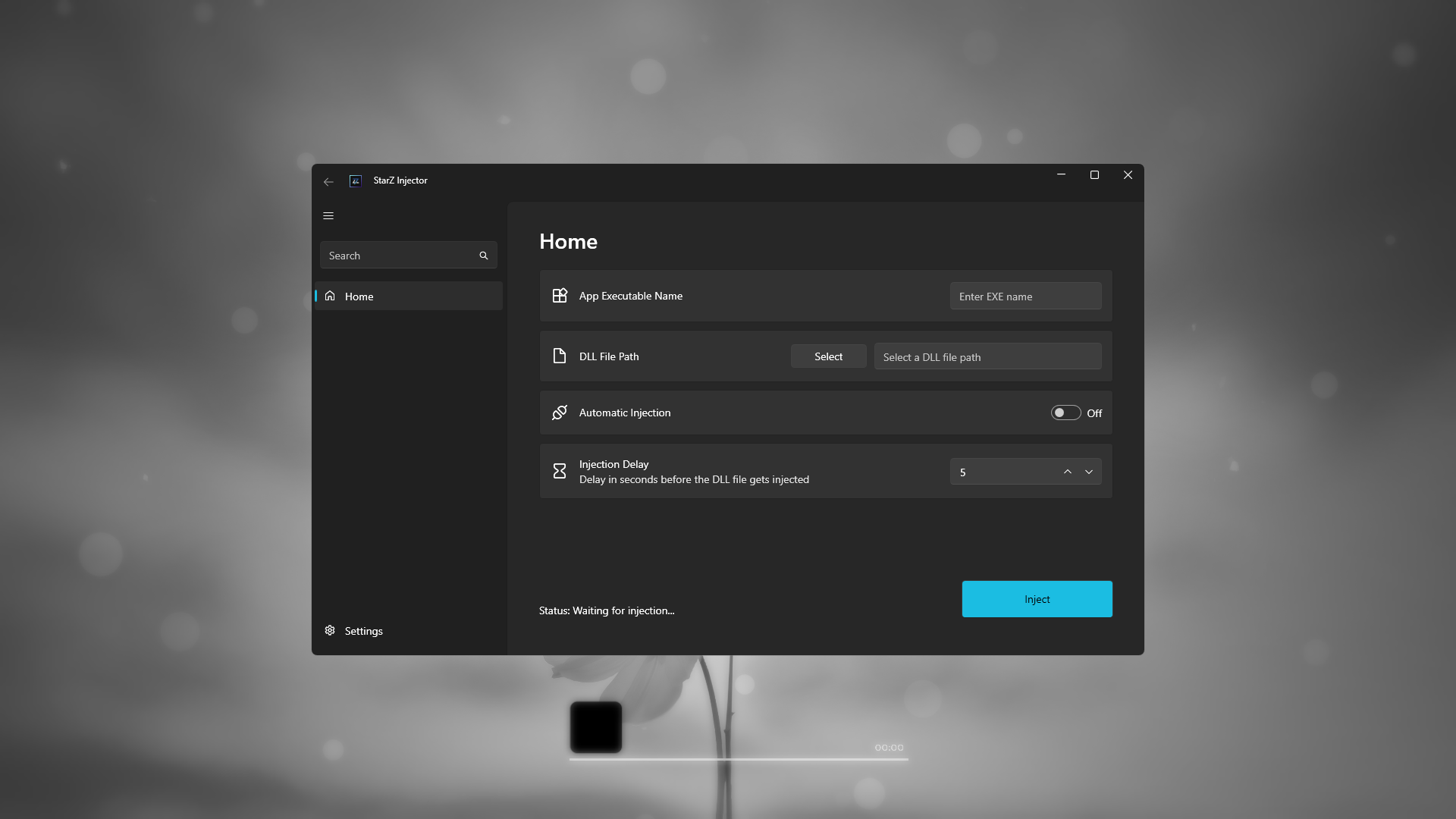 Preview of the StarZ Injector project